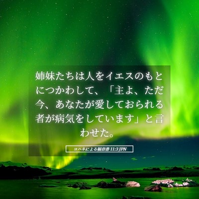 Picture 05 - ヨハネによる福音書 11:3 JPN - 姉妹たちは人をイエスのもとにつか - Bible Verse Picture
