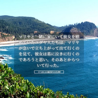 Picture 05 - ヨハネによる福音書 11:31 JPN - マリヤと一緒に家にいて彼女を慰め - Bible Verse Picture