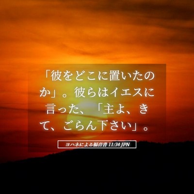 Picture 05 - ヨハネによる福音書 11:34 JPN - 「彼をどこに置いたのか」。彼らは - Bible Verse Picture
