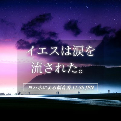 Picture 05 - ヨハネによる福音書 11:35 JPN - イエスは涙を流された。 - Bible Verse Picture