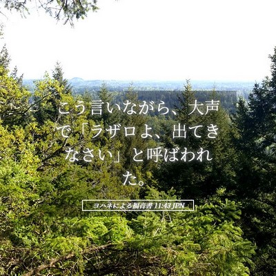 Picture 05 - ヨハネによる福音書 11:43 JPN - こう言いながら、大声で「ラザロよ - Bible Verse Picture