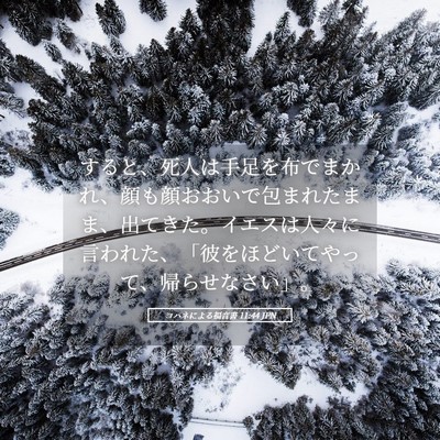 Picture 05 - ヨハネによる福音書 11:44 JPN - すると、死人は手足を布でまかれ、 - Bible Verse Picture