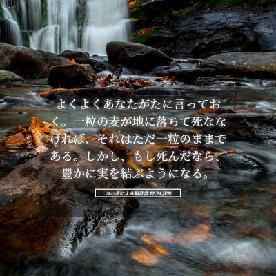 Picture 05 - ヨハネによる福音書 12:24 JPN - よくよくあなたがたに言っておく。 - Bible Verse Picture