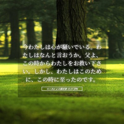 Picture 05 - ヨハネによる福音書 12:27 JPN - 今わたしは心が騒いでいる。わたし - Bible Verse Picture