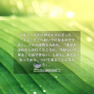 Picture 05 - ヨハネによる福音書 13:36 JPN - シモン・ペテロがイエスに言った、 - Bible Verse Picture