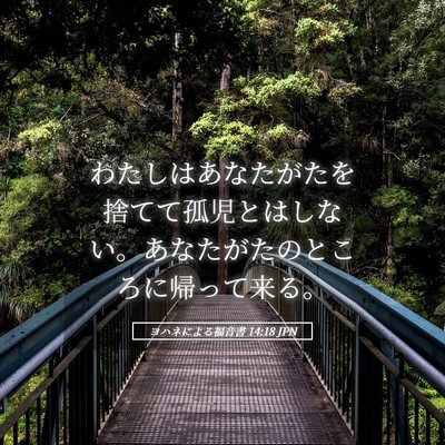 Picture 05 - ヨハネによる福音書 14:18 JPN - わたしはあなたがたを捨てて孤児と - Bible Verse Picture