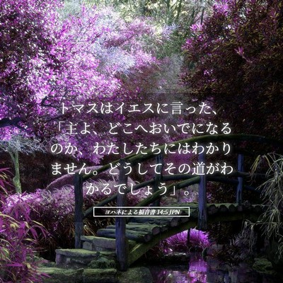 Picture 05 - ヨハネによる福音書 14:5 JPN - トマスはイエスに言った、「主よ、 - Bible Verse Picture