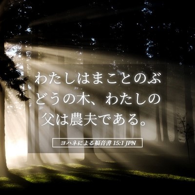 Picture 05 - ヨハネによる福音書 15:1 JPN - わたしはまことのぶどうの木、わた - Bible Verse Picture