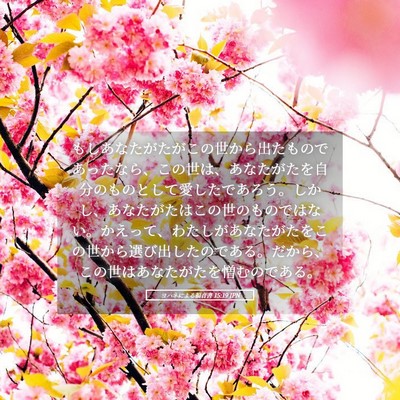 Picture 05 - ヨハネによる福音書 15:19 JPN - もしあなたがたがこの世から出たも - Bible Verse Picture