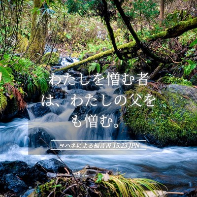 Picture 05 - ヨハネによる福音書 15:23 JPN - わたしを憎む者は、わたしの父をも - Bible Verse Picture