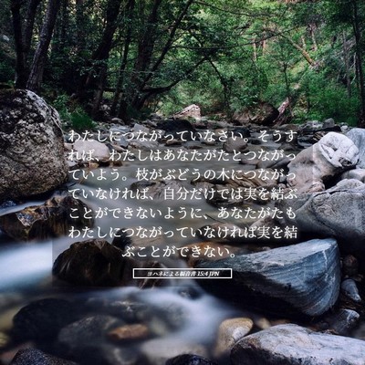 Picture 05 - ヨハネによる福音書 15:4 JPN - わたしにつながっていなさい。そう - Bible Verse Picture
