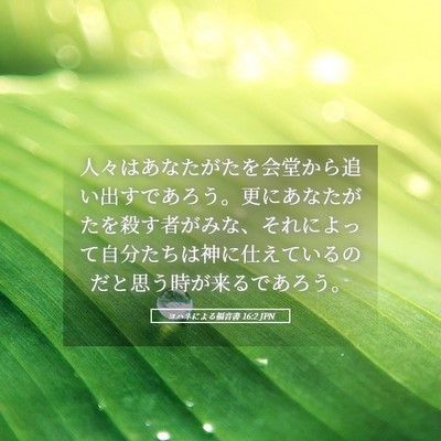 Picture 05 - ヨハネによる福音書 16:2 JPN - 人々はあなたがたを会堂から追い出 - Bible Verse Picture