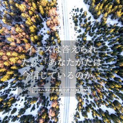 Picture 05 - ヨハネによる福音書 16:31 JPN - イエスは答えられた、「あなたがた - Bible Verse Picture