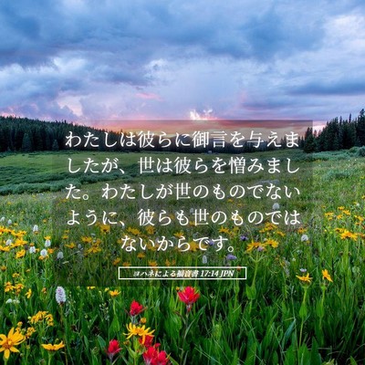 Picture 05 - ヨハネによる福音書 17:14 JPN - わたしは彼らに御言を与えましたが - Bible Verse Picture