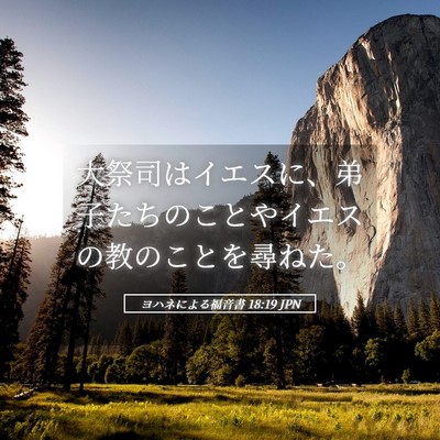 Picture 05 - ヨハネによる福音書 18:19 JPN - 大祭司はイエスに、弟子たちのこと - Bible Verse Picture