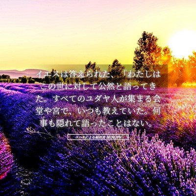 Picture 05 - ヨハネによる福音書 18:20 JPN - イエスは答えられた、「わたしはこ - Bible Verse Picture