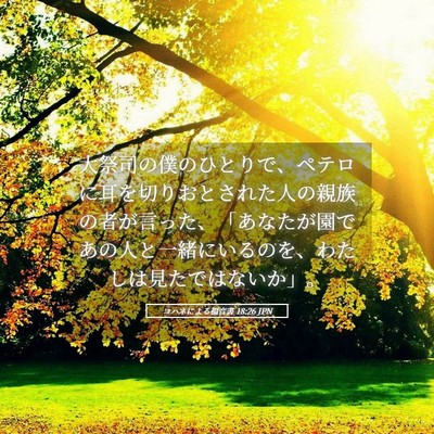 Picture 05 - ヨハネによる福音書 18:26 JPN - 大祭司の僕のひとりで、ペテロに耳 - Bible Verse Picture