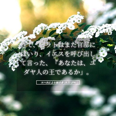 Picture 05 - ヨハネによる福音書 18:33 JPN - さて、ピラトはまた官邸にはいり、 - Bible Verse Picture