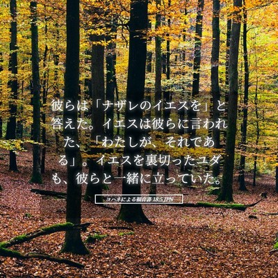 Picture 05 - ヨハネによる福音書 18:5 JPN - 彼らは「ナザレのイエスを」と答え - Bible Verse Picture