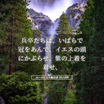 Picture 05 - ヨハネによる福音書 19:2 JPN - 兵卒たちは、いばらで冠をあんで、 - Bible Verse Picture
