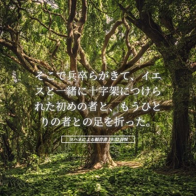 Picture 05 - ヨハネによる福音書 19:32 JPN - そこで兵卒らがきて、イエスと一緒 - Bible Verse Picture