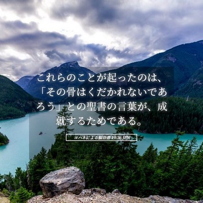 Picture 05 - ヨハネによる福音書 19:36 JPN - これらのことが起ったのは、「その - Bible Verse Picture