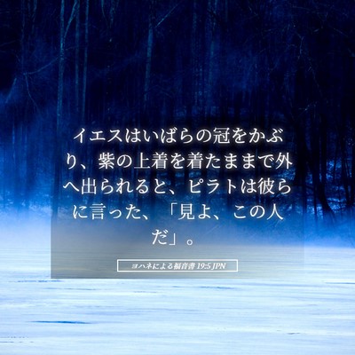 Picture 05 - ヨハネによる福音書 19:5 JPN - イエスはいばらの冠をかぶり、紫の - Bible Verse Picture