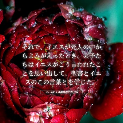 Picture 05 - ヨハネによる福音書 2:22 JPN - それで、イエスが死人の中からよみ - Bible Verse Picture