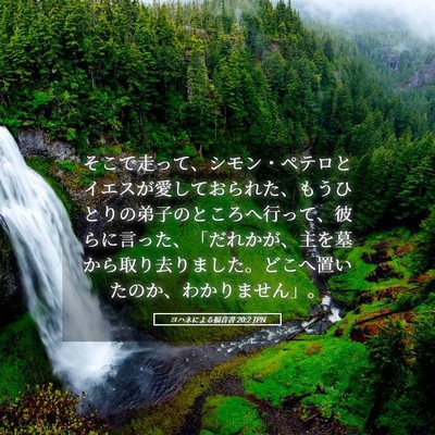Picture 05 - ヨハネによる福音書 20:2 JPN - そこで走って、シモン・ペテロとイ - Bible Verse Picture