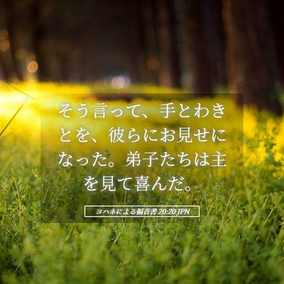 Picture 05 - ヨハネによる福音書 20:20 JPN - そう言って、手とわきとを、彼らに - Bible Verse Picture