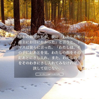 Picture 05 - ヨハネによる福音書 20:25 JPN - ほかの弟子たちが、彼に「わたした - Bible Verse Picture