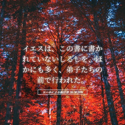 Picture 05 - ヨハネによる福音書 20:30 JPN - イエスは、この書に書かれていない - Bible Verse Picture