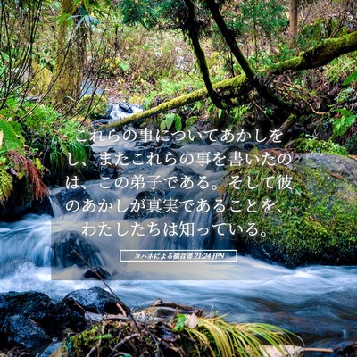 Picture 05 - ヨハネによる福音書 21:24 JPN - これらの事についてあかしをし、ま - Bible Verse Picture