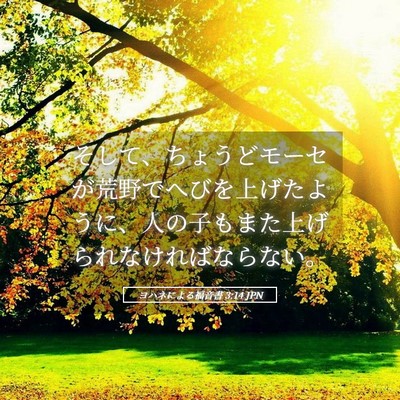 Picture 05 - ヨハネによる福音書 3:14 JPN - そして、ちょうどモーセが荒野でへ - Bible Verse Picture