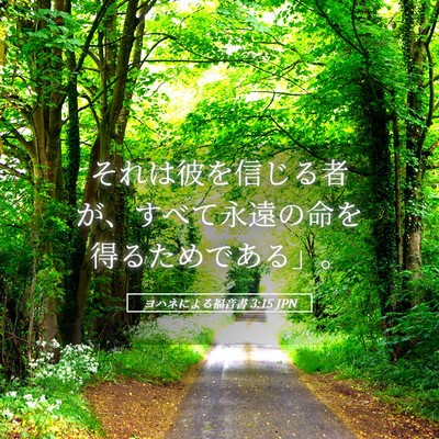 Picture 05 - ヨハネによる福音書 3:15 JPN - それは彼を信じる者が、すべて永遠 - Bible Verse Picture