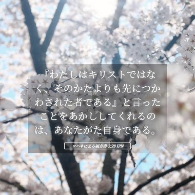 Picture 05 - ヨハネによる福音書 3:28 JPN - 『わたしはキリストではなく、その - Bible Verse Picture
