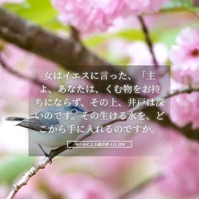 Picture 05 - ヨハネによる福音書 4:11 JPN - 女はイエスに言った、「主よ、あな - Bible Verse Picture