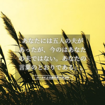 Picture 05 - ヨハネによる福音書 4:18 JPN - あなたには五人の夫があったが、今 - Bible Verse Picture