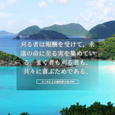 Picture 05 - ヨハネによる福音書 4:36 JPN - 刈る者は報酬を受けて、永遠の命に - Bible Verse Picture