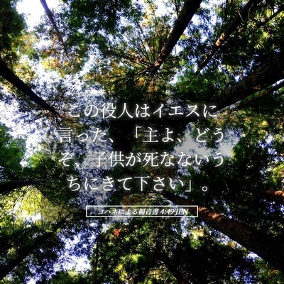 Picture 05 - ヨハネによる福音書 4:49 JPN - この役人はイエスに言った、「主よ - Bible Verse Picture