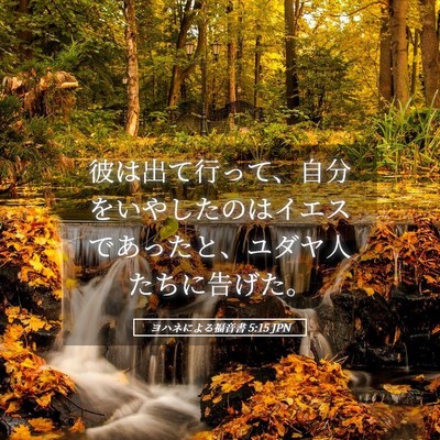 Picture 05 - ヨハネによる福音書 5:15 JPN - 彼は出て行って、自分をいやしたの - Bible Verse Picture