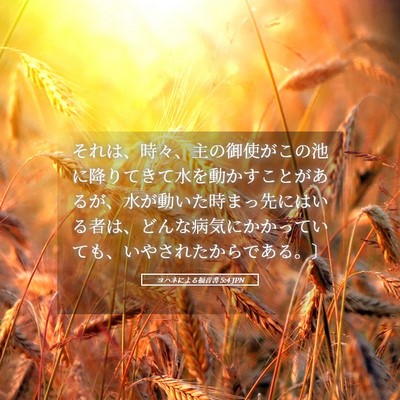 Picture 05 - ヨハネによる福音書 5:4 JPN - それは、時々、主の御使がこの池に - Bible Verse Picture