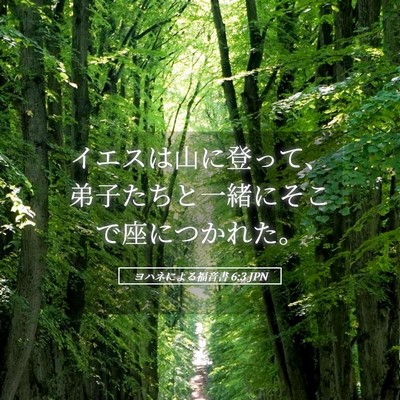 Picture 05 - ヨハネによる福音書 6:3 JPN - イエスは山に登って、弟子たちと一 - Bible Verse Picture