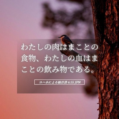 Picture 05 - ヨハネによる福音書 6:55 JPN - わたしの肉はまことの食物、わたし - Bible Verse Picture