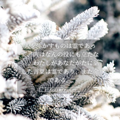 Picture 05 - ヨハネによる福音書 6:63 JPN - 人を生かすものは霊であって、肉は - Bible Verse Picture
