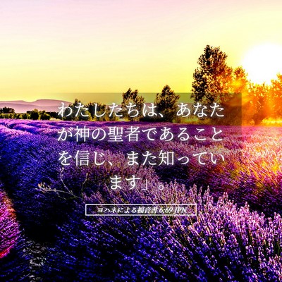 Picture 05 - ヨハネによる福音書 6:69 JPN - わたしたちは、あなたが神の聖者で - Bible Verse Picture