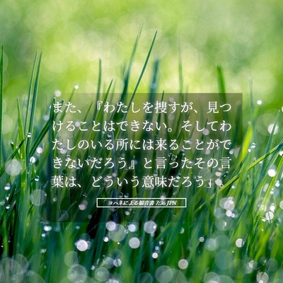 Picture 05 - ヨハネによる福音書 7:36 JPN - また、『わたしを捜すが、見つける - Bible Verse Picture