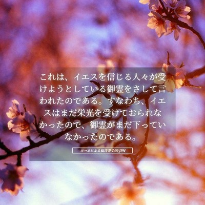 Picture 05 - ヨハネによる福音書 7:39 JPN - これは、イエスを信じる人々が受け - Bible Verse Picture