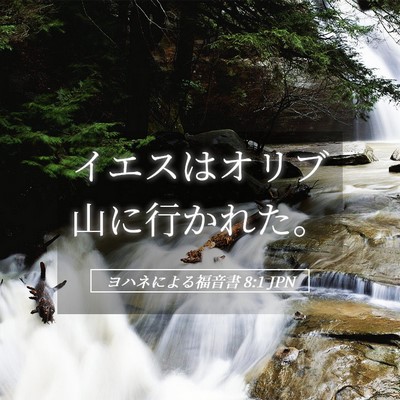Picture 05 - ヨハネによる福音書 8:1 JPN - イエスはオリブ山に行かれた。 - Bible Verse Picture