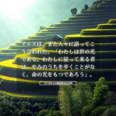 Picture 05 - ヨハネによる福音書 8:12 JPN - イエスは、また人々に語ってこう言 - Bible Verse Picture
